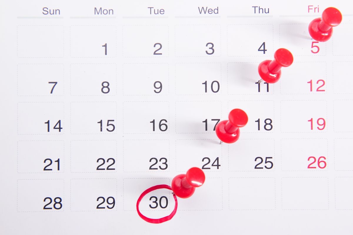 Red push pins marking booked dates across a wall calendar